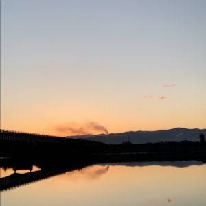 Meet your Posher, Abigail